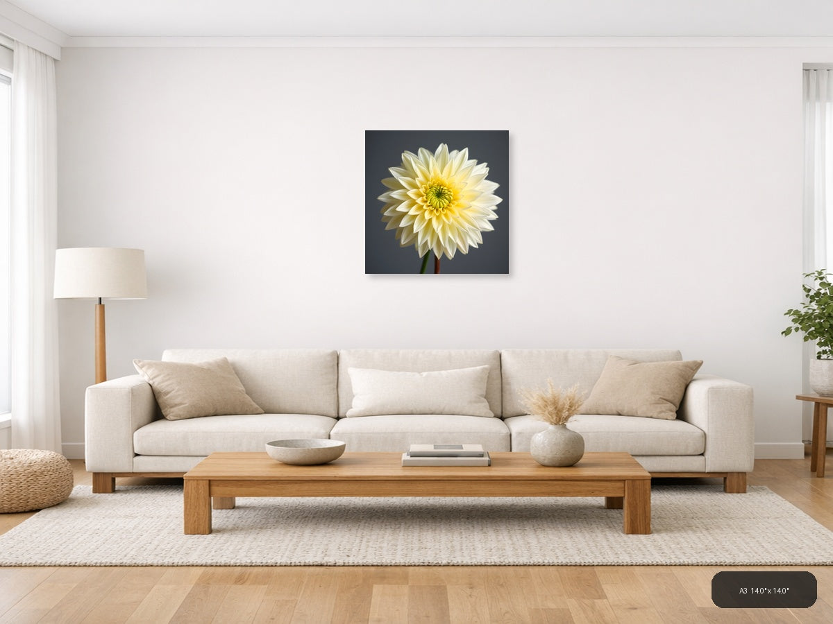 Yellow and White Dahlia Flower Minimalist Wall Art — A3 / Living Room