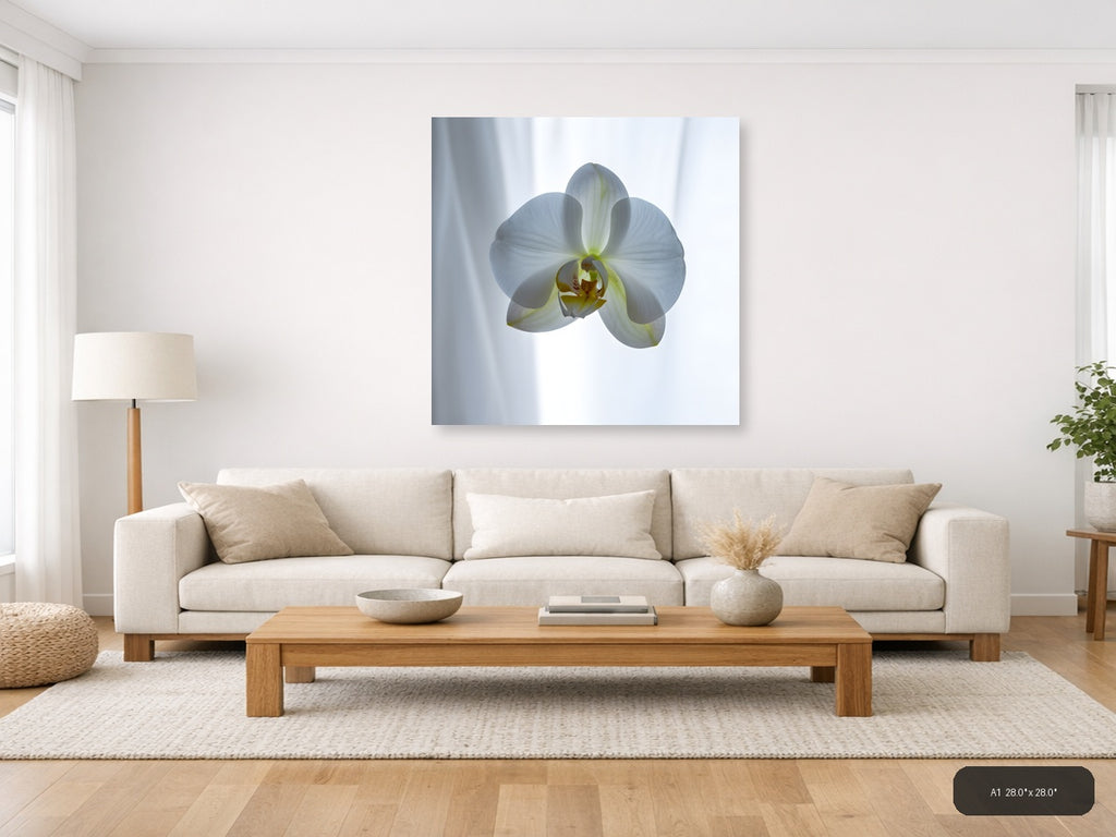 White Orchid Minimalist Botanical Wall Art — A1 / Living Room