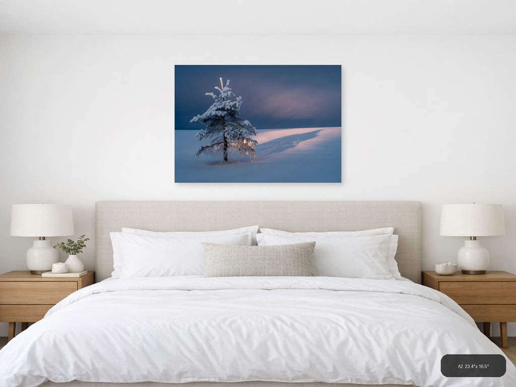 Frost-Covered Pine Tree in Winter Landscape Photography Wall Art — A2 / Bedroom