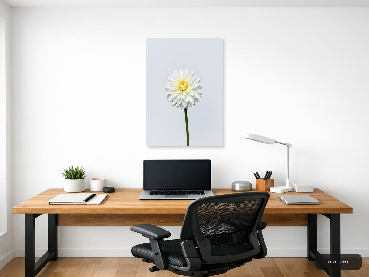 White Dahlia with Yellow Center Minimalist Wall Art — A1 / Office
