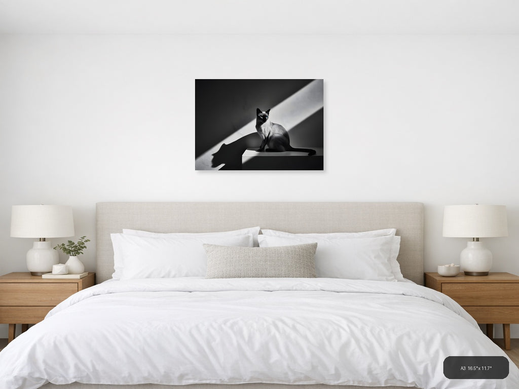 Siamese Cat in Sunlight - Black White Photography Wall Art — A3 / Bedroom