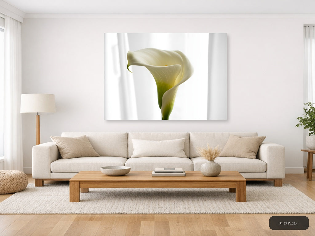White Calla Lily Minimalist Botanical Wall Art — A1 / Living Room