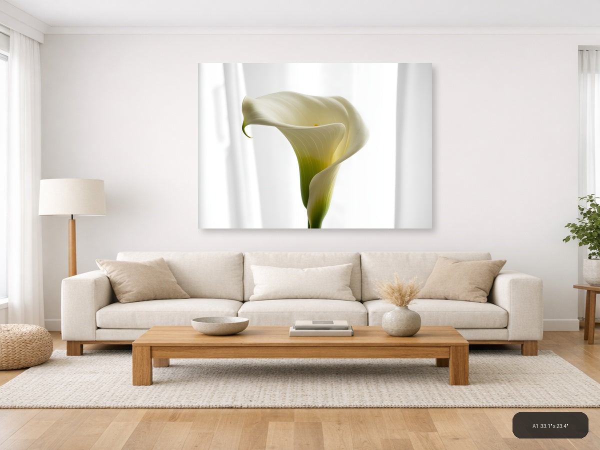 White Calla Lily Minimalist Botanical Wall Art — A1 / Living Room