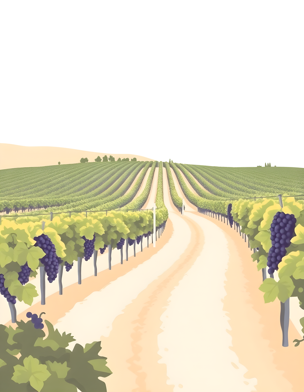 Minimalist Vineyard Landscape with Purple Grapes Wall Art