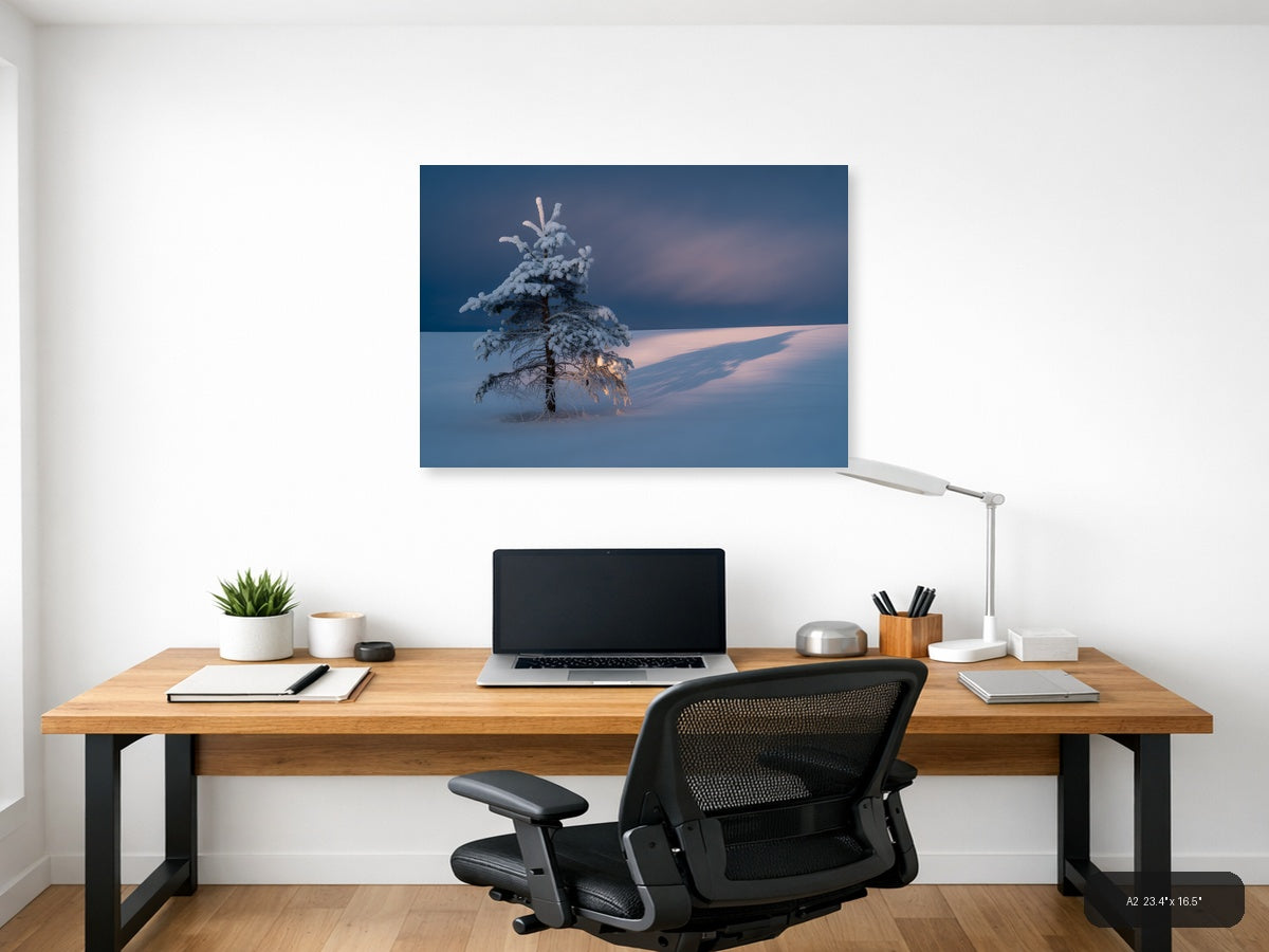 Frost-Covered Pine Tree in Winter Landscape Photography Wall Art — A2 / Office