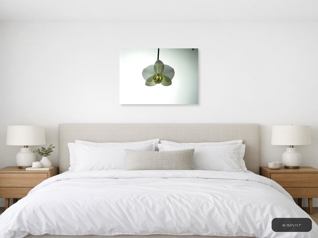 White Orchid Minimalist Botanical Wall Art — A3 / Bedroom