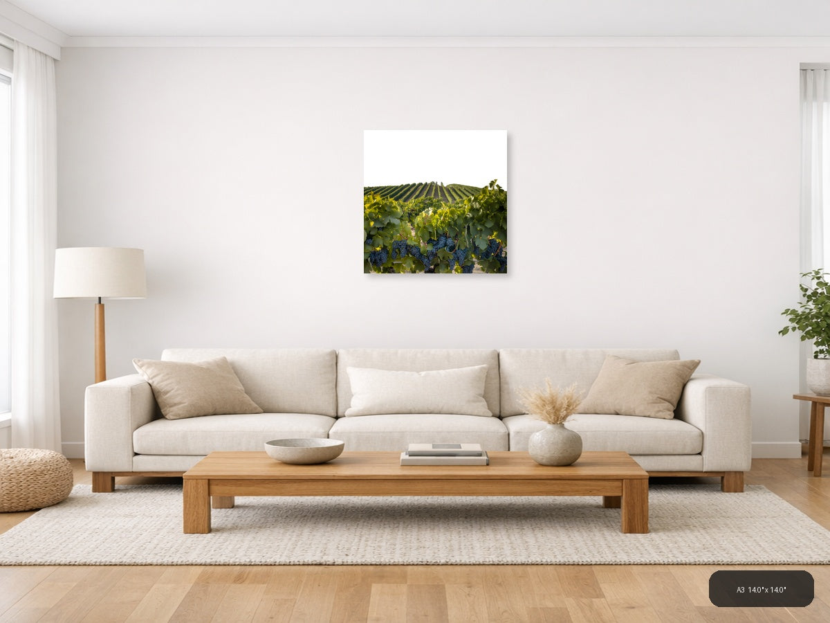Vineyard Harvest Landscape Minimalist Wall Art — A3 / Living Room