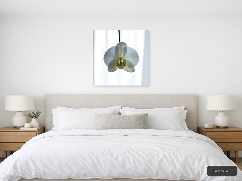 White Orchid Minimalist Botanical Wall Art — A2 / Bedroom