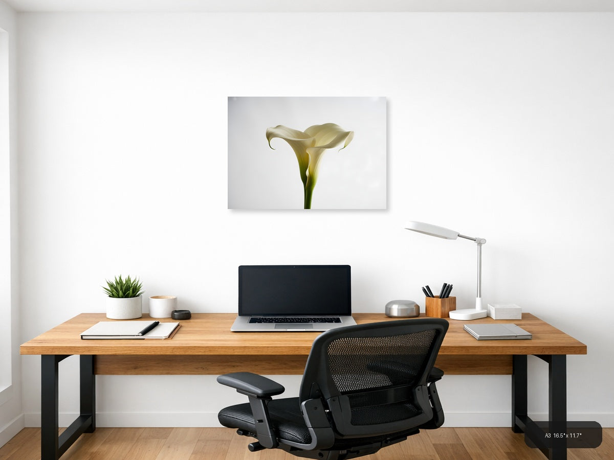 White Calla Lily Minimalist Botanical Wall Art — A3 / Office