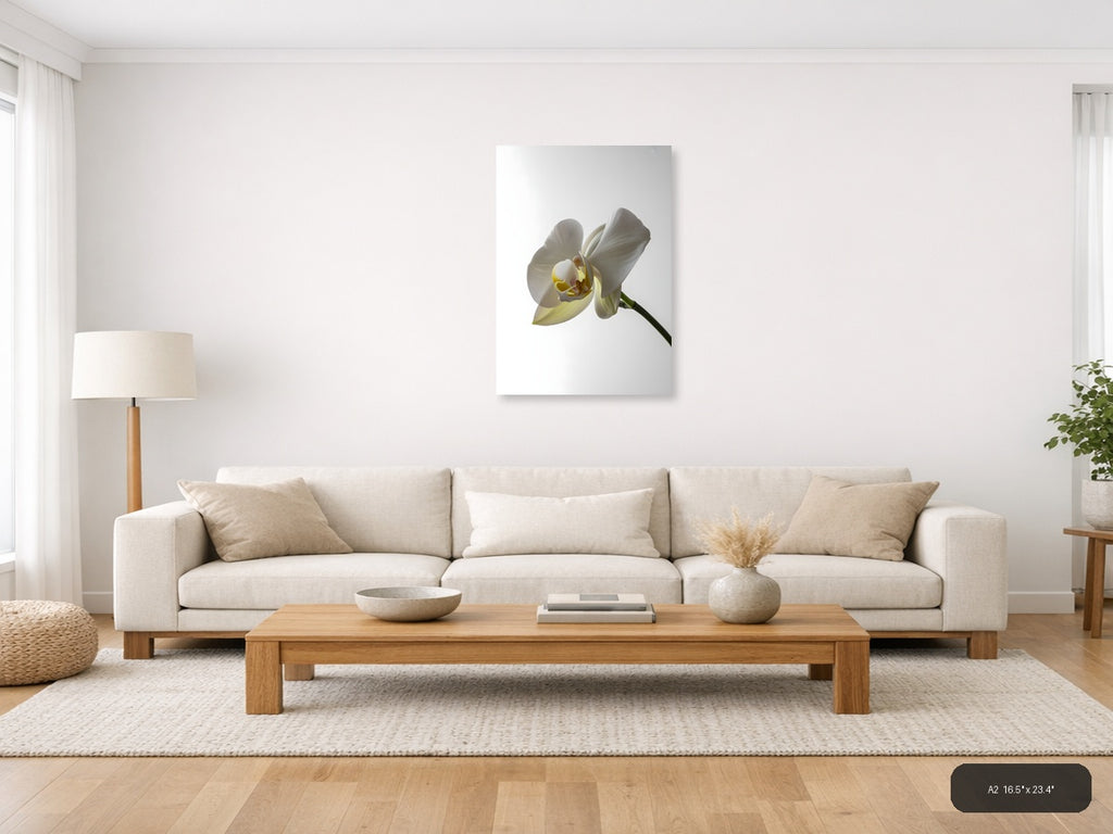 White Orchid Flower Minimalist Portrait Wall Art — A2 / Living Room