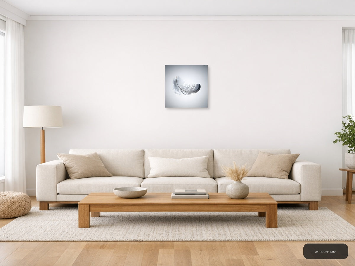 Minimalist Gray Feather Floating Wall Art — A4 / Living Room