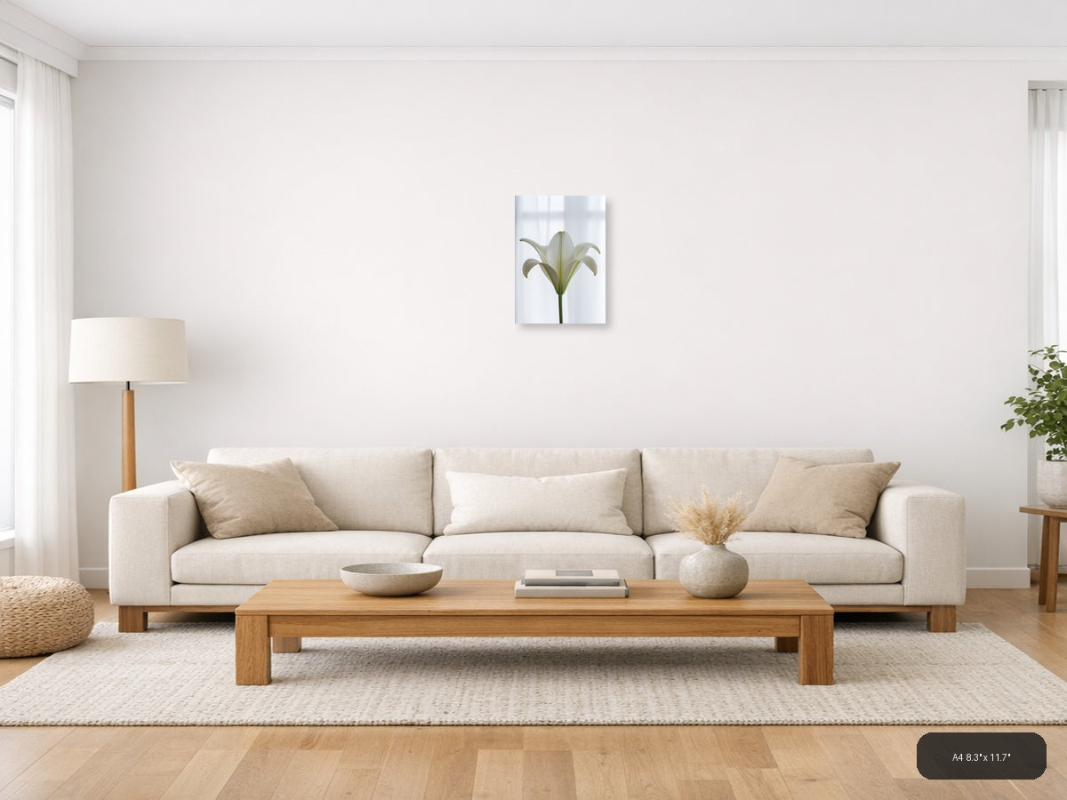 White Lily Minimalist Botanical Wall Art — A4 / Living Room