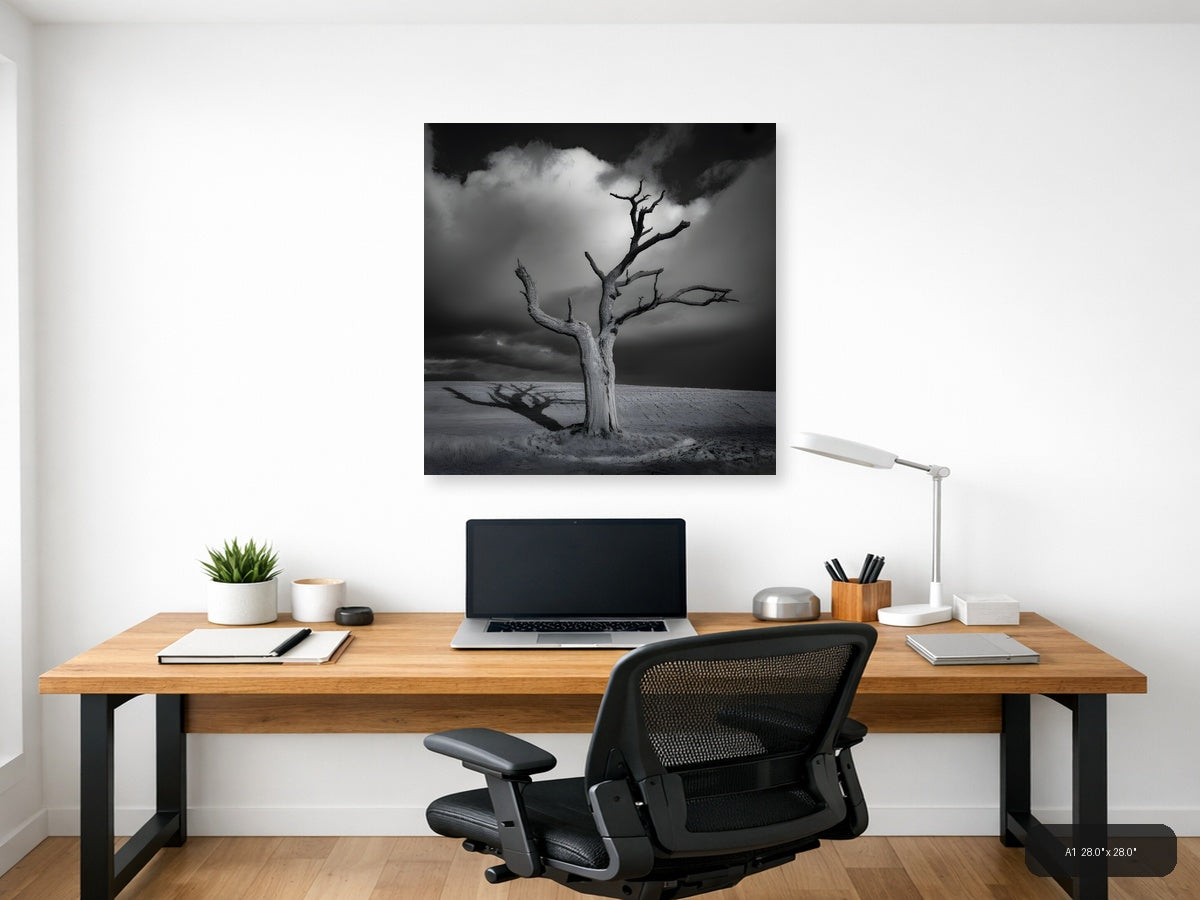 Dead Tree in Desert Landscape Black and White Photography Wall Art — A1 / Office