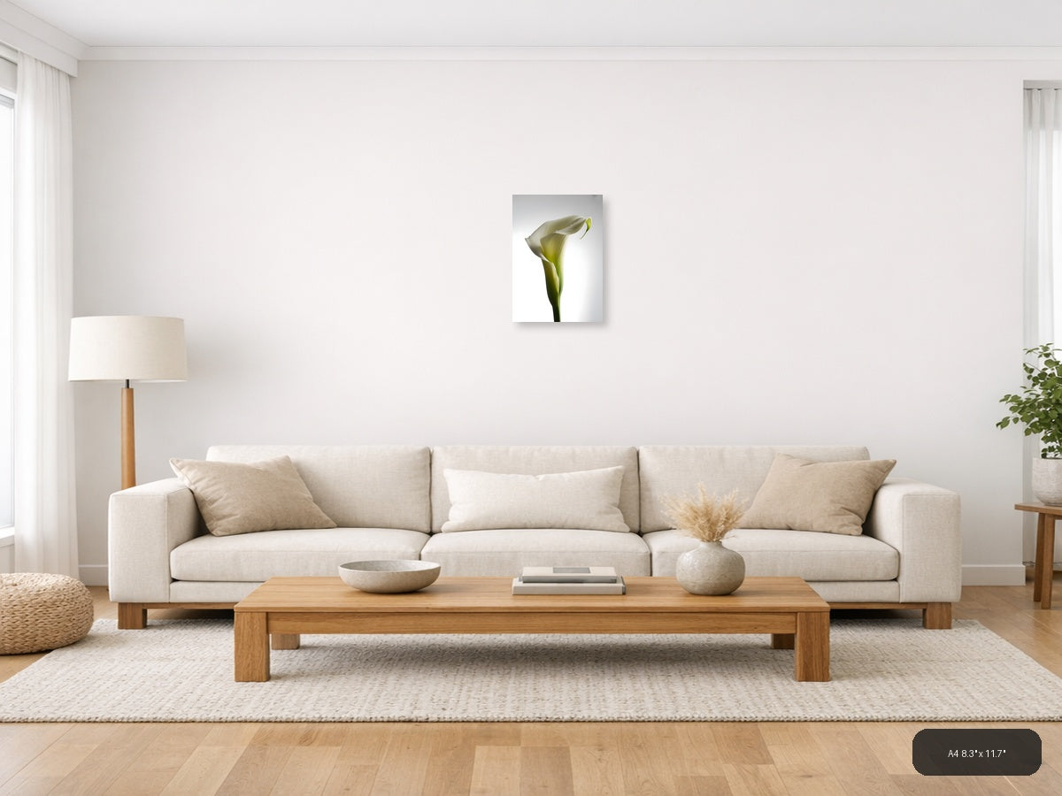 White Calla Lily with Dew Drops Minimalist Wall Art — A4 / Living Room