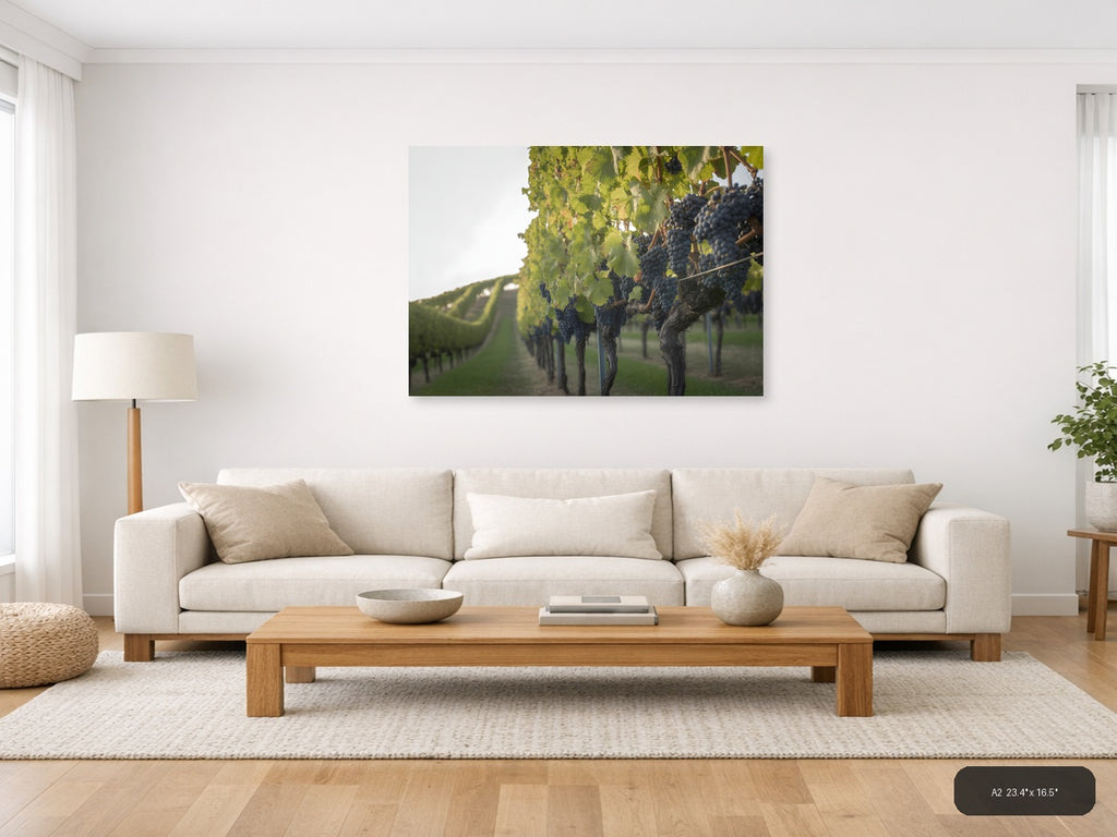 Vineyard Rows Minimalist Landscape Wall Art — A2 / Living Room