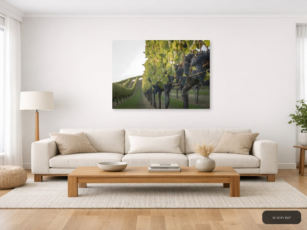 Vineyard Rows Minimalist Landscape Wall Art — A2 / Living Room