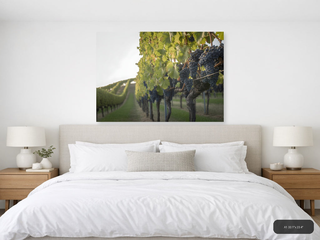Vineyard Rows Minimalist Landscape Wall Art — A1 / Bedroom
