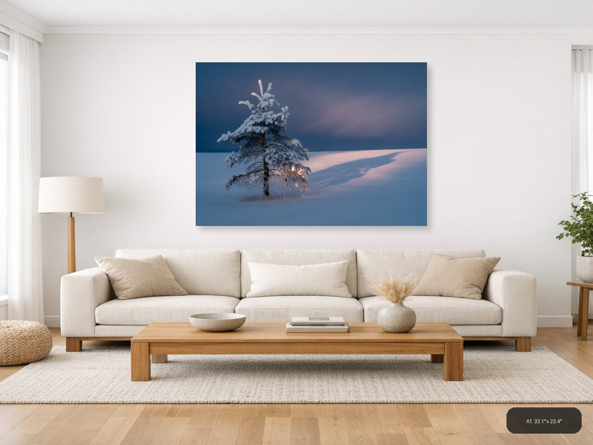 Frost-Covered Pine Tree in Winter Landscape Photography Wall Art — A1 / Living Room